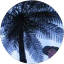 xavier claude profile picture